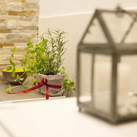 Appartamento Bukowe Wzgorze *