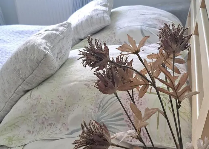 公寓 Bukowe Wzgorze Stronie Śląskie