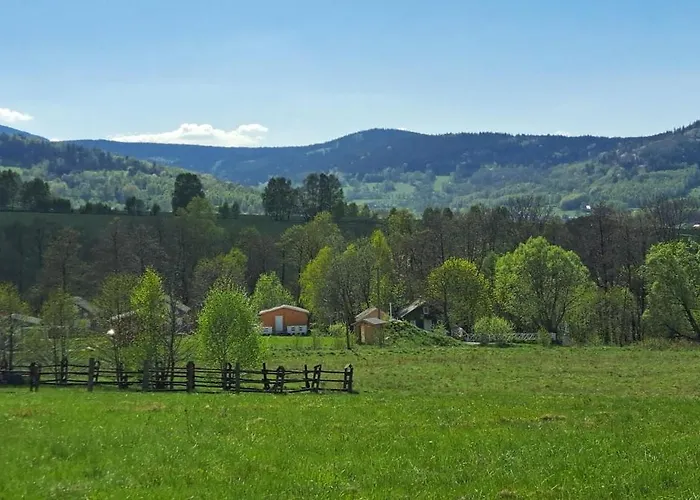 Bukowe Wzgorze 公寓 Stronie Śląskie