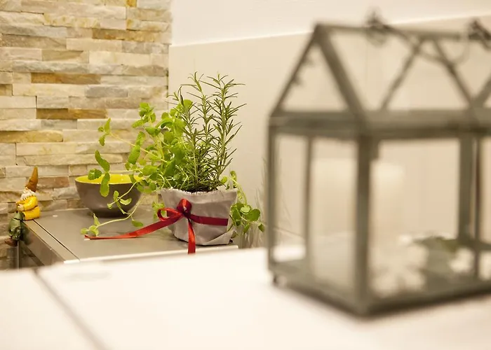 公寓 Bukowe Wzgorze *